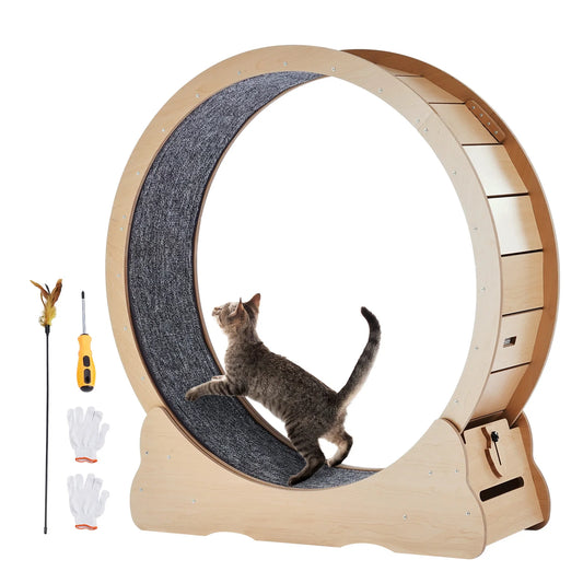 The Ascent Cat Wheel